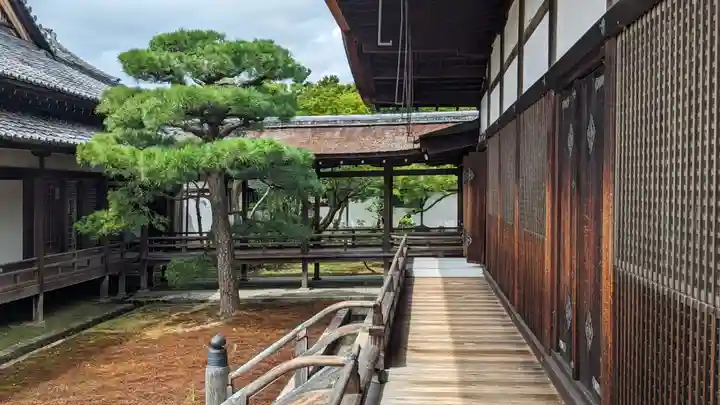 仁和寺(京都府)