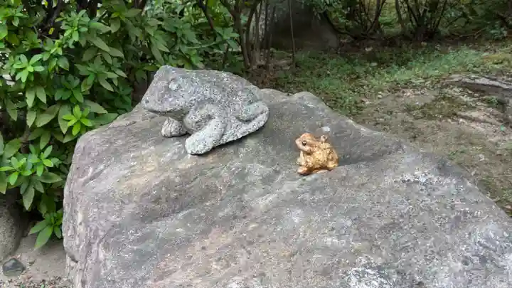 善福寺(京都府)