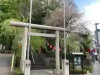 田無神社の鳥居