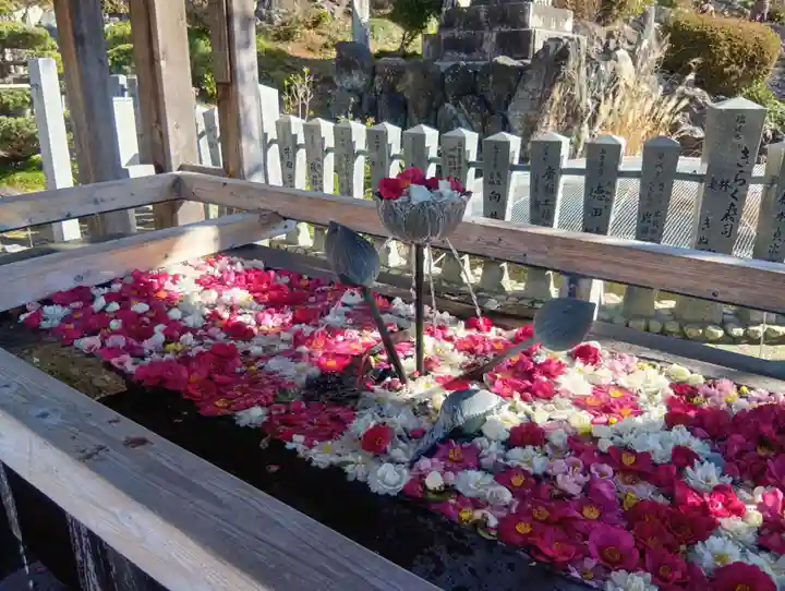 成田山名古屋別院大聖寺(犬山成田山)(愛知県)