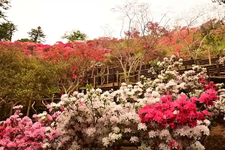 正福寺(茨城県)