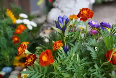滑川神社 - 仕事と子どもの守り神の手水舎