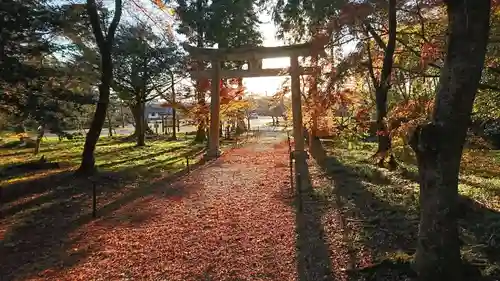 井伊神社の鳥居