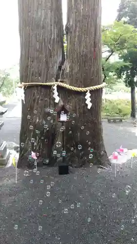 高司神社〜むすびの神の鎮まる社〜の体験その他