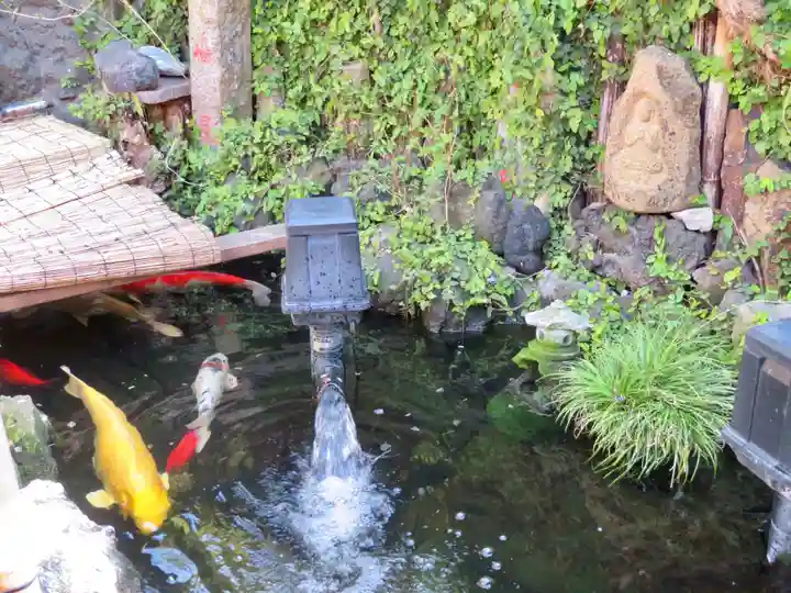 吉原弁財天本宮(吉原神社奥宮)の庭園