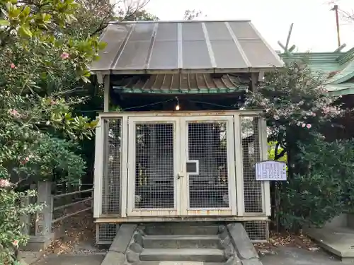 稲毛神社(神奈川県)