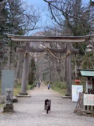 戸隠神社奥社の鳥居