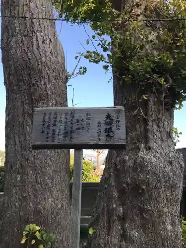 御霊神社(神奈川県)