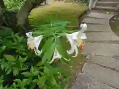 真福寺(神奈川県)