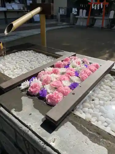 根岸八幡神社(神奈川県)