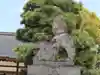 藤森神社の狛犬