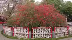 冠稲荷神社(群馬県)