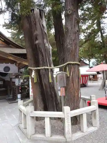 建部大社の自然