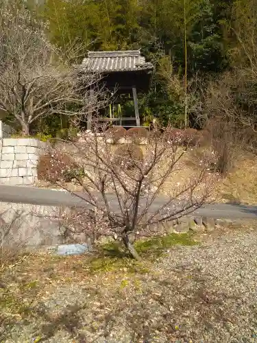 駕龍寺の建物その他