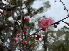 美奈宜神社(福岡県)