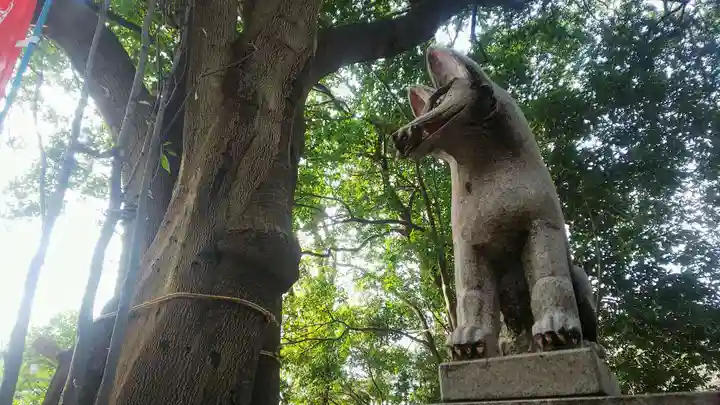 城山神社の狛犬
