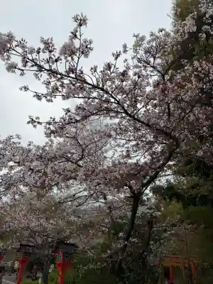 平野神社の{uncategorized: "未分類", other: "その他", undefined: "問題あり", building: "その他建物", grave: "お墓", sacred_gate: "鳥居", guardian: "狛犬", statue: "像", buddha: "仏像", history: "歴史", nature: "自然", garden: "庭園", animal: "動物", pagoda: "塔", temizu: "手水舎", mountain_gate: "山門・神門", sanctuary: "本殿・本堂", subordinate: "末社・摂社", art: "芸術", scenery: "景色", jizo: "地蔵", ema: "絵馬", goshuin: "御朱印", omikuji: "おみくじ", items: "授与品その他", amulet: "お守り", goshuincho: "御朱印帳", eats: "食事", festival: "お祭り", votive_dance: "神楽", shichigosan: "七五三参", wedding: "結婚式", experience: "体験その他", initially: "初詣", around: "周辺", anti_infection: "感染症対策"}