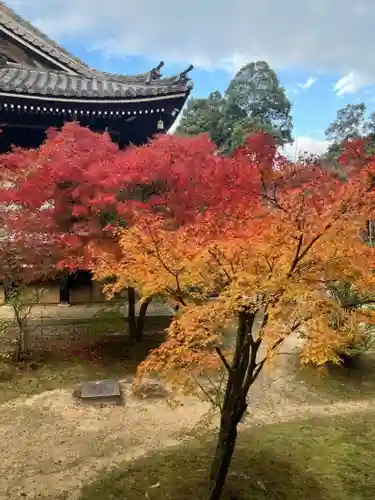 光明寺（粟生光明寺）(京都府)