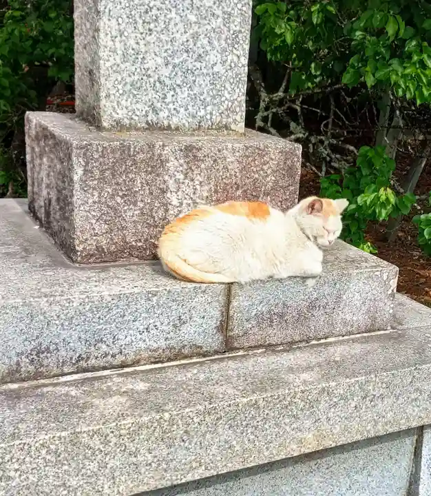 息栖神社(茨城県)
