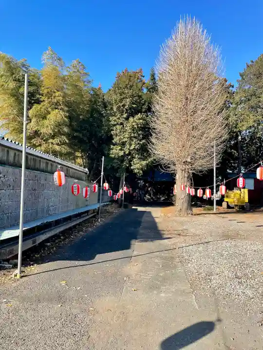 雷電神社(栃木県)