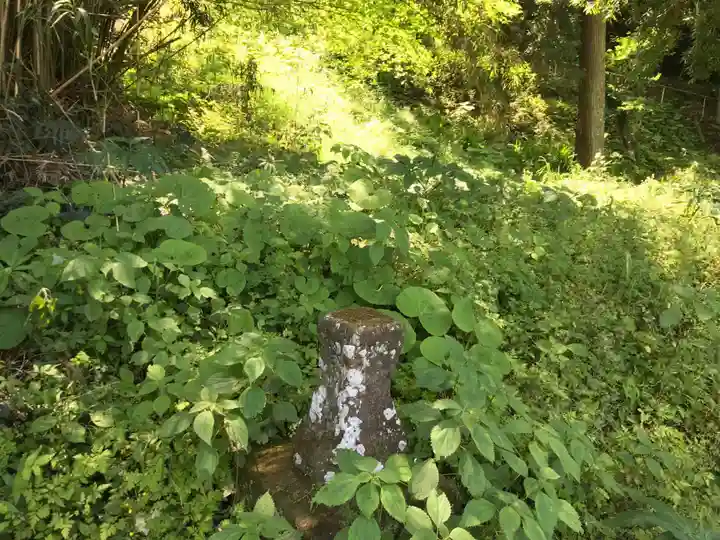 八幡神社の自然