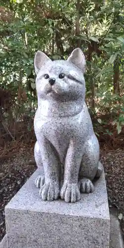 座間神社の狛犬