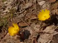 留辺蘂神社(北海道)