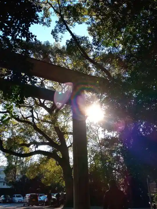上知我麻神社(熱田神宮摂社)の鳥居