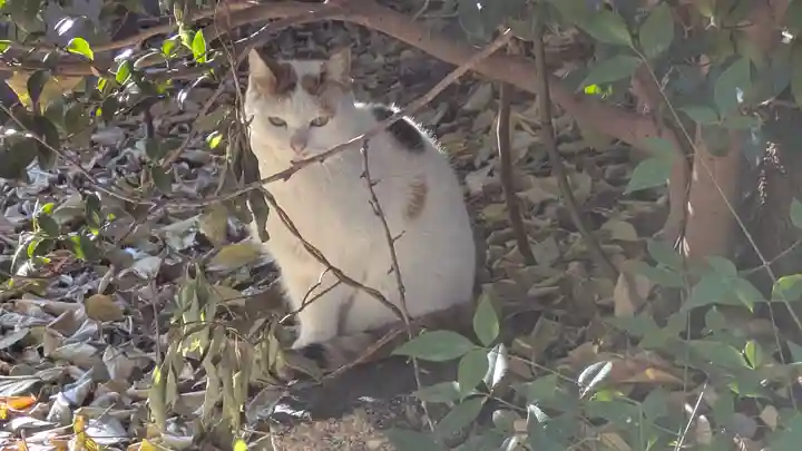 行願寺(革堂)(京都府)