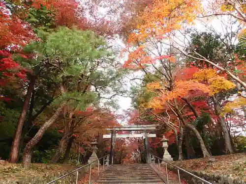 大原野神社の景色