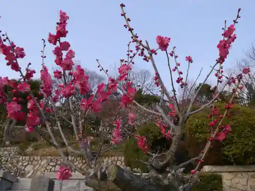 中山寺の自然