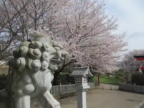 加波山神社真壁拝殿の狛犬