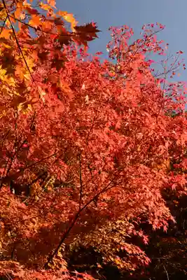 詩仙堂(丈山寺)(京都府)