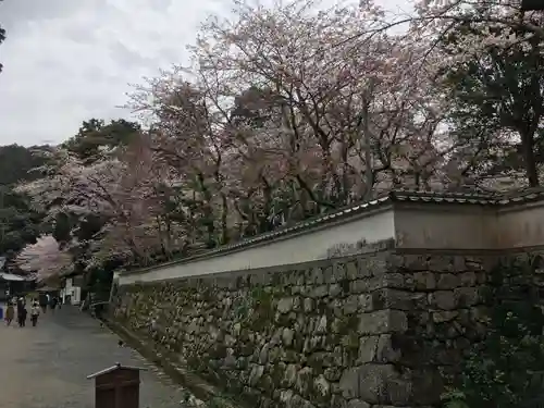 園城寺（三井寺）の建物その他