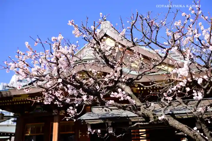 湯島天満宮のその他建物