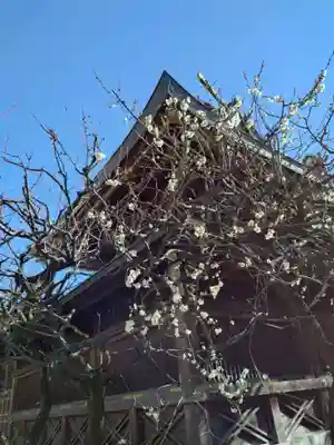 湯島天満宮(東京都)
