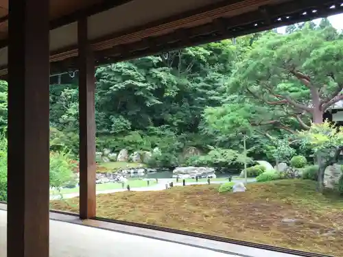 青蓮院門跡の庭園