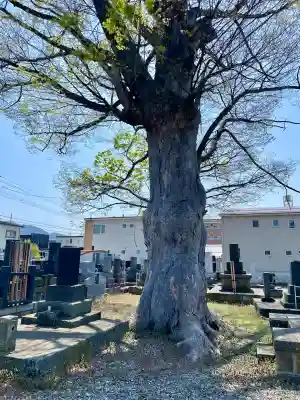 久福寺(福島県)