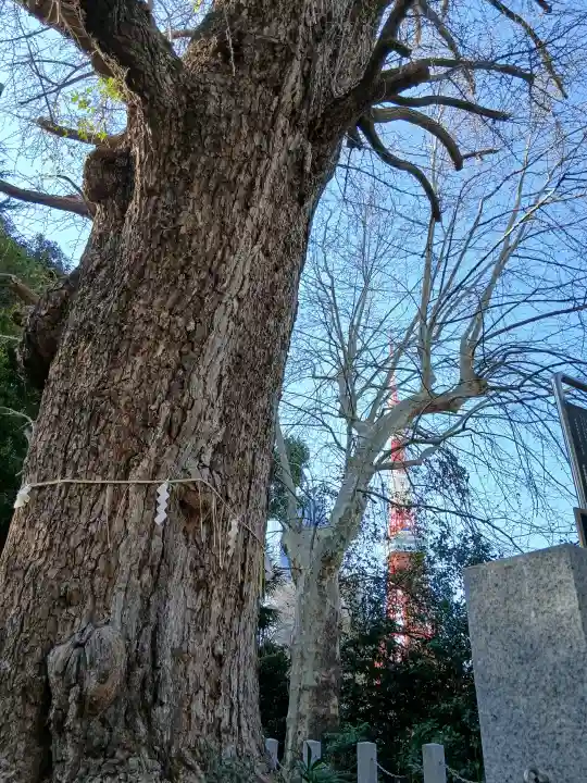 芝東照宮の{uncategorized: "未分類", other: "その他", undefined: "問題あり", building: "その他建物", grave: "お墓", sacred_gate: "鳥居", guardian: "狛犬", statue: "像", buddha: "仏像", history: "歴史", nature: "自然", garden: "庭園", animal: "動物", pagoda: "塔", temizu: "手水舎", mountain_gate: "山門・神門", sanctuary: "本殿・本堂", subordinate: "末社・摂社", art: "芸術", scenery: "景色", jizo: "地蔵", ema: "絵馬", goshuin: "御朱印", omikuji: "おみくじ", items: "授与品その他", amulet: "お守り", goshuincho: "御朱印帳", eats: "食事", festival: "お祭り", votive_dance: "神楽", shichigosan: "七五三参", wedding: "結婚式", experience: "体験その他", initially: "初詣", around: "周辺", anti_infection: "感染症対策"}