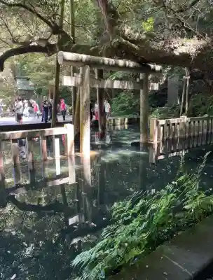 鹿島神宮(茨城県)