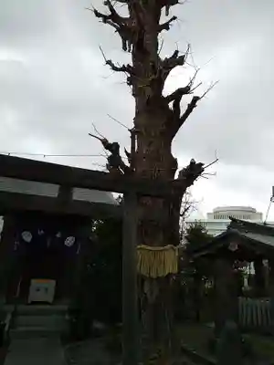 筑土八幡神社(東京都)