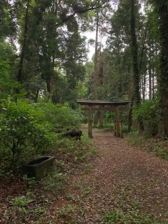 稲荷神社(千葉県)