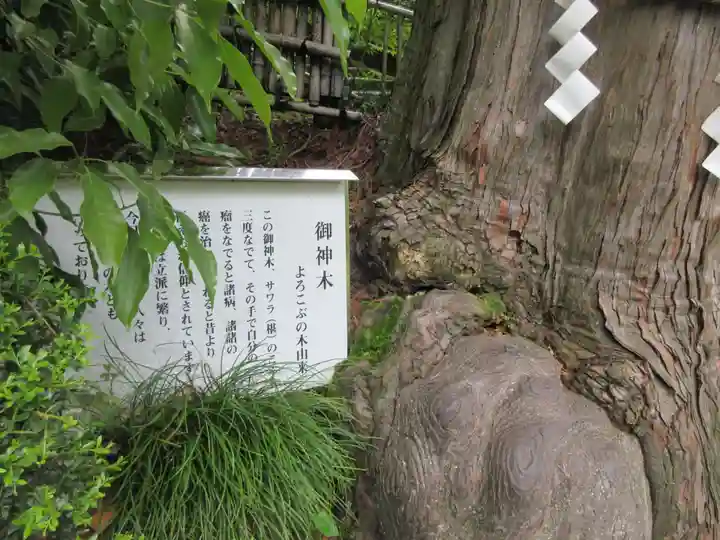 神場山神社(静岡県)