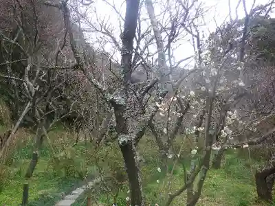 瑞泉寺のその他建物