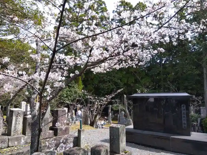 くろ谷 金戒光明寺(京都府)