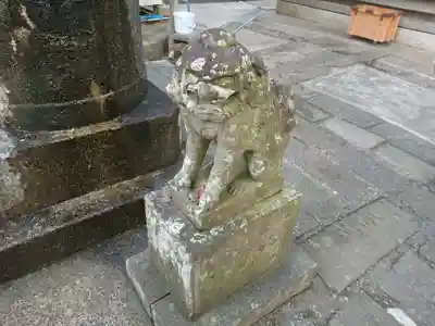 田間神社の狛犬