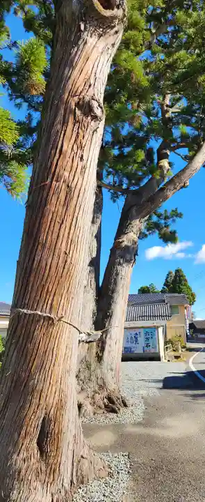 相馬太田神社(福島県)