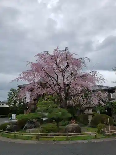 最勝寺(東京都)