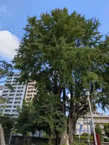 磐井神社(東京都)