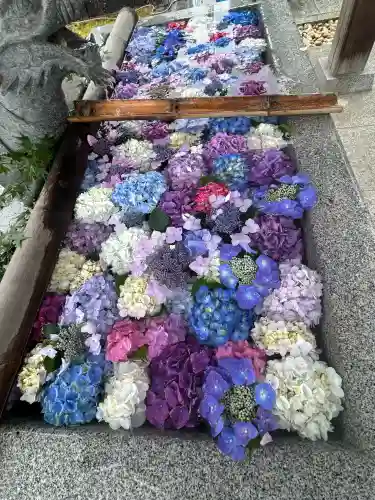 粟井神社(香川県)